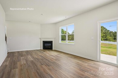 4586 Harris Elliot Rd, Lincolnton, NC 28092 - photo 3