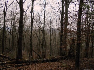 0 Hardscrabble Rd, Cane River, NC 28714 - photo 2