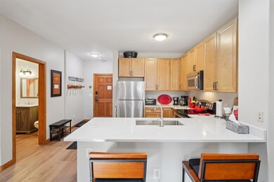 Hidden River Hideaway Lodge unit 5971, Dillon, CO 80435 - photo 5