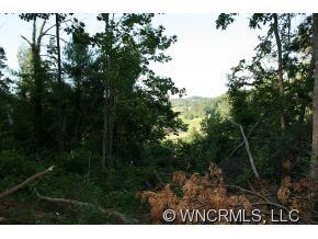 9999 N Turkey Creek Rd, Leicester, NC 28768 - photo 2