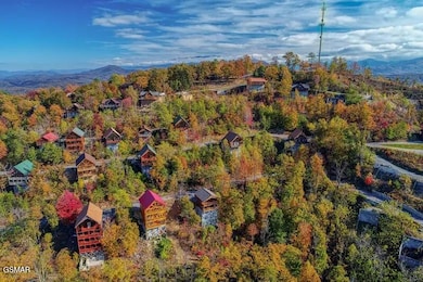 Drone Image