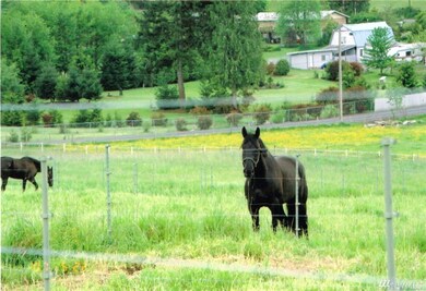 11109 238th St E, Graham, WA 98338 - photo 5