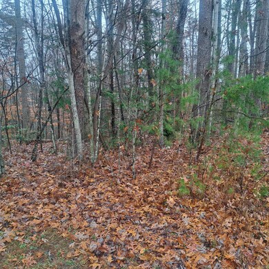 8100 Somerset Rd, London, KY 40741 - photo 5