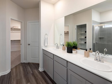 Bathroom featuring a walk in closet, double vanit