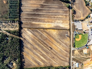 51.8+-ac Hadden Rd, Rehobeth, AL 36301 - photo 5