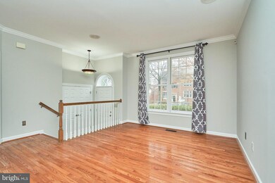 3647 Ransom Place, Alexandria, VA 22306 - photo 5