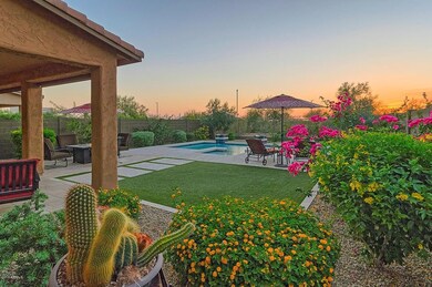 Backyard @ Twilight