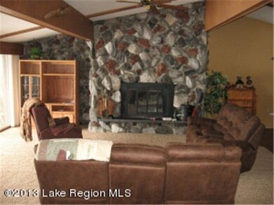 38660 Eldorado Beach Rd, Battle Lake, MN 56515 - photo 4