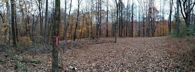 2812 Union Hill Rd, Joelton, TN 37080 - photo 5