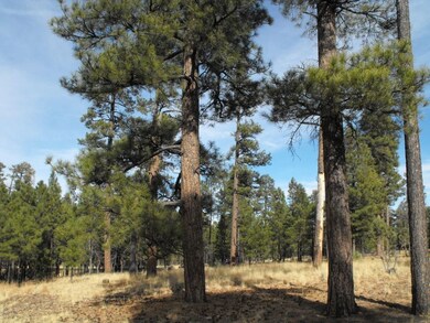 176 Pine Canyon 5