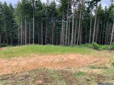 0 Swordfern Ridge Rd unit 778065, Blodgett, OR 97326 - photo 7