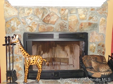 Wood Burning Fire Place
