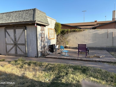 Shed in backyard