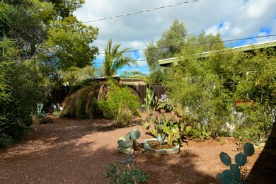 Main House Rear Yard
