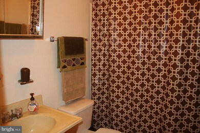 316 Aileen Ave, Strasburg, VA 22657 - photo 6