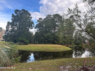 1063 Middleton NW, Calabash, NC 28467 - photo 3