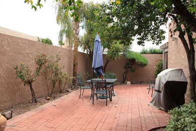 Backyard2
