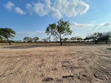 LOT117 Micaela St, Donna, TX 78537 - photo 7