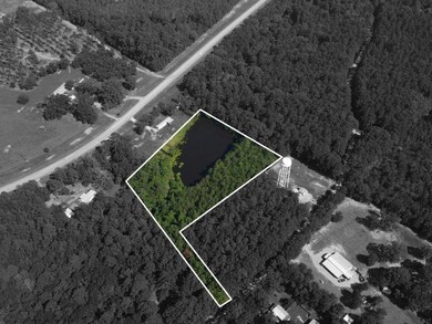 TBD Hudson Rd, Pollock, LA 71467 - photo 2