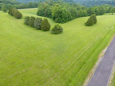 17 Lots Parks Ridge Subdivision Rd, Russell Springs, KY 42642 - photo 5