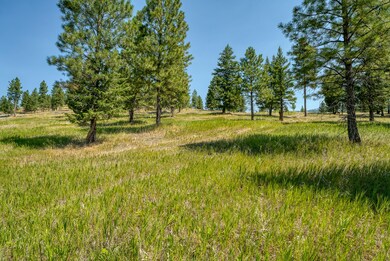 575 Springhill Rd, Kila, MT 59920 - photo 6