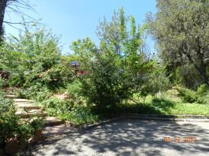 295 Dry Creek Rd (3)