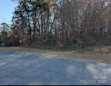 0 Grassy Meadow Ct unit 48, Lincolnton, NC 28092 - photo 4