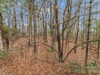 TBD Ossarooga Ct unit Lot 29/Unit 6, Brevard, NC 28712 - photo 7