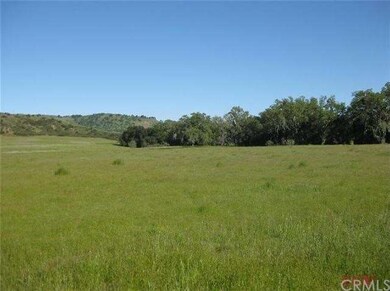 Pasture on Northside of seasonal creek. Interlake 