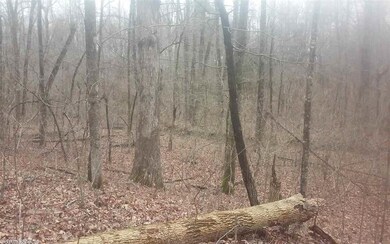 15.39 Greene Road 715, Paragould, AR 72450 - photo 2