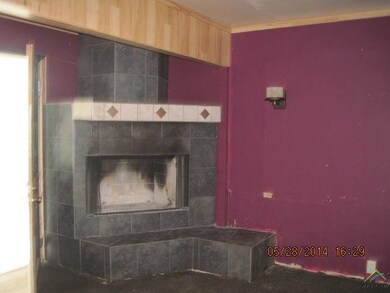 12457 County Road 289, Tyler, TX 75707 - photo 2