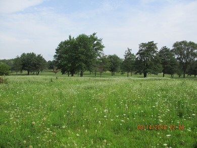 VE E Offner Rd, Beecher, IL 60401 - photo 2