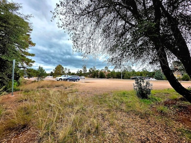 912 N Beeline Hwy, Payson, AZ 85541 - photo 6