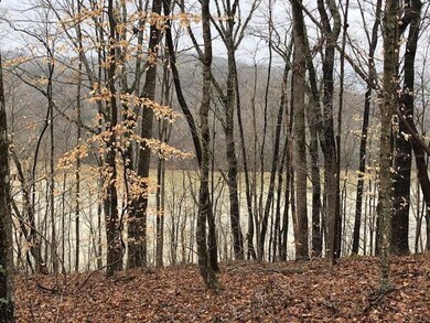 2738 W Gallaher Ferry Rd, Knoxville, TN 37932 - photo 7