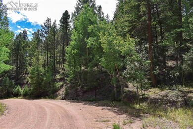 231 Deer Ln, Guffey, CO 80820 - photo 3