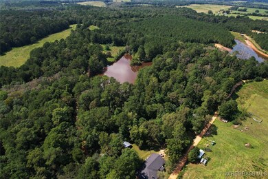 2217 Mcleod Rd, Goshen, AL 36035 - photo 7