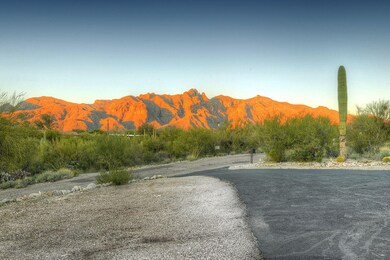 Mountain Views