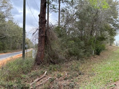 Tract#6408 Cooks Mill Rd unit C, Bonifay, FL 32425 - photo 3