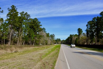 001 Nichols Sawmill Rd, Magnolia, TX 77355 - photo 2