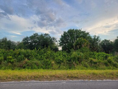 Lots of oak trees