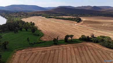 26 Vaughn Rd, Arab, AL 35754 - photo 4