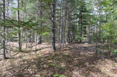 0 Gilman Point Rd unit 4945877, Moultonborough, NH 03254 - photo 7