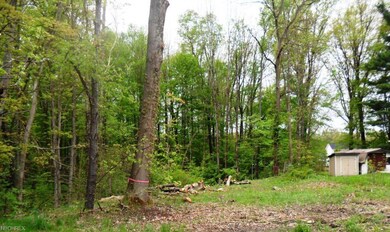 Lot is at a dead end street.  0.650 acre lot.There