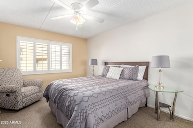 17 - Camelback 10-28-25