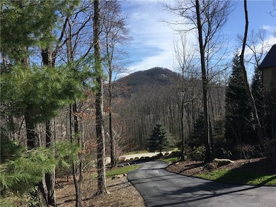 499 Walnut Valley Pkwy unit 132, Arden, NC 28704 - photo 6