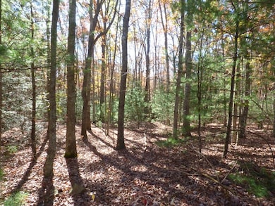 105 Saddlebrook Ln unit 30, Daniels, WV 25832 - photo 5