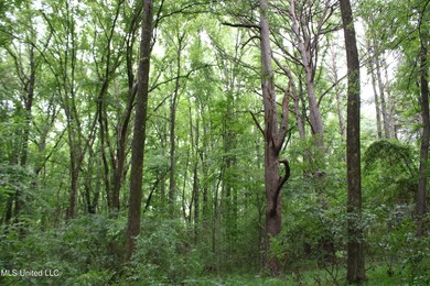 IMG_4123