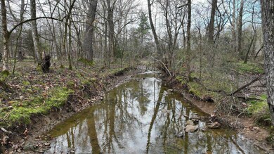 TBD Highway 8 E, Mena, AR 71953 - photo 2