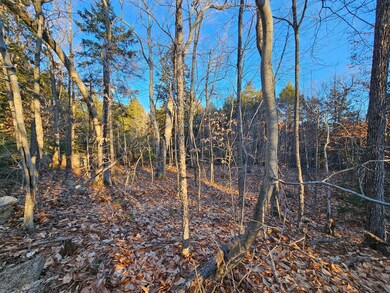 41-4 Tanner Way, Bridgton, ME 04009 - photo 4