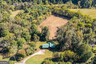 910 Brushtown Rd, Cisco, GA 30708 - photo 3